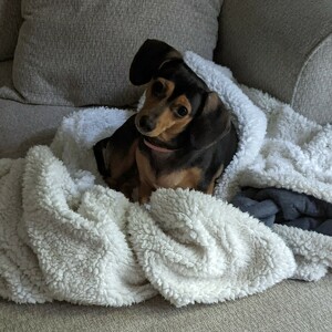 Fundraising Page: Carolyn Boshart